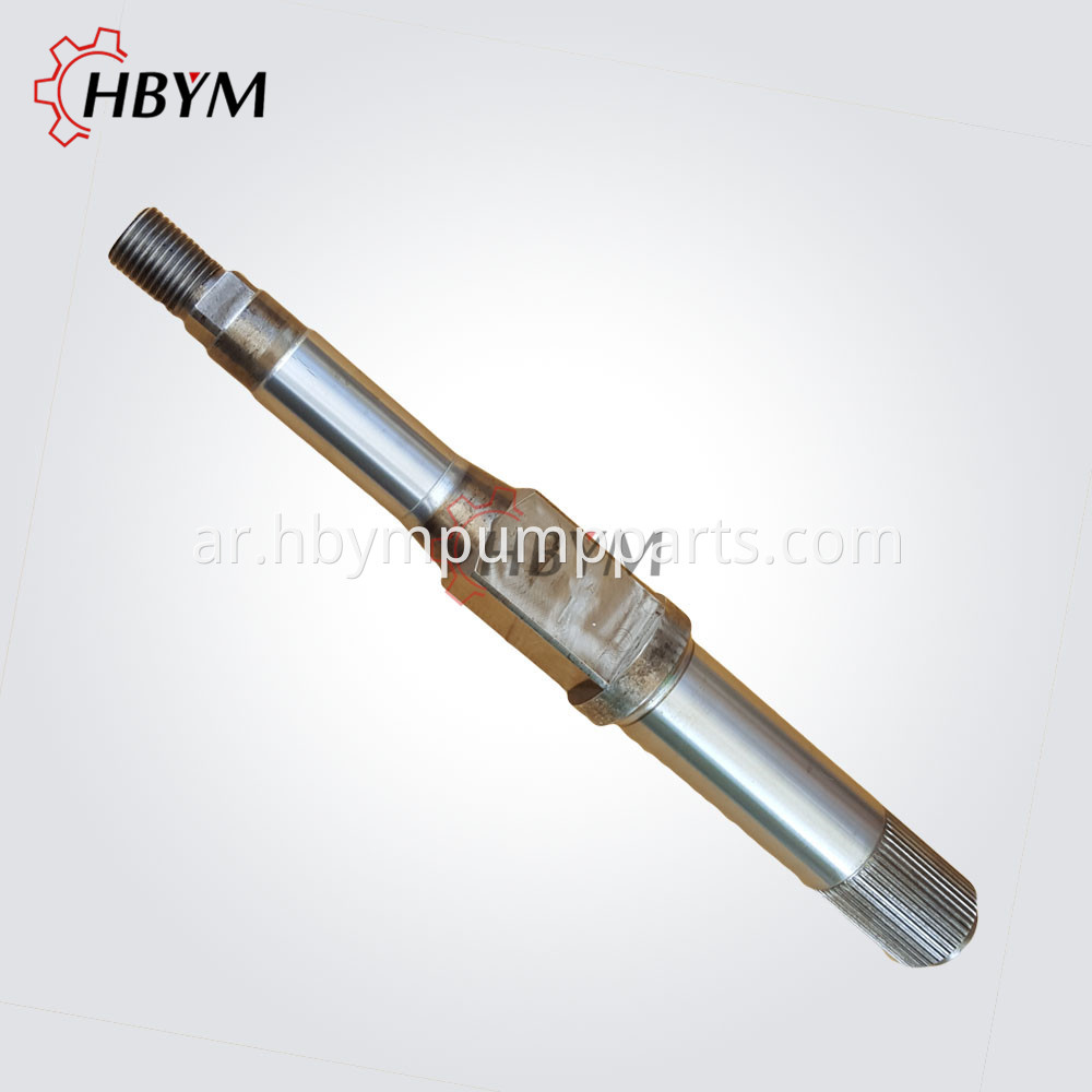 Schwing Slewing Shaft 001